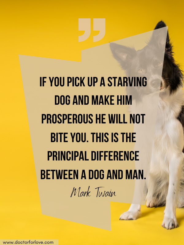 if-you-pick-up