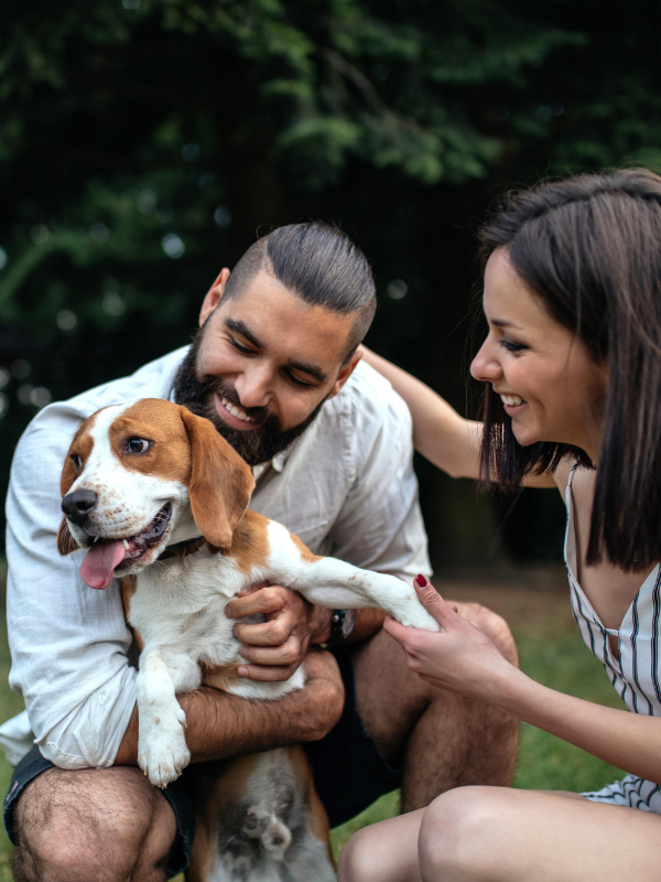 couple-petting-a-dog