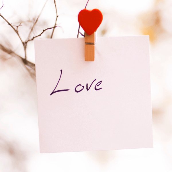a-love-note-on-a-tree-branch