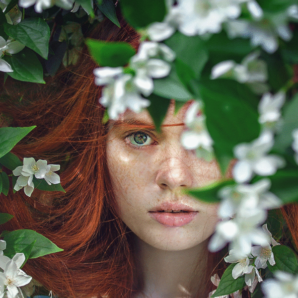 woman-between-the-flowers