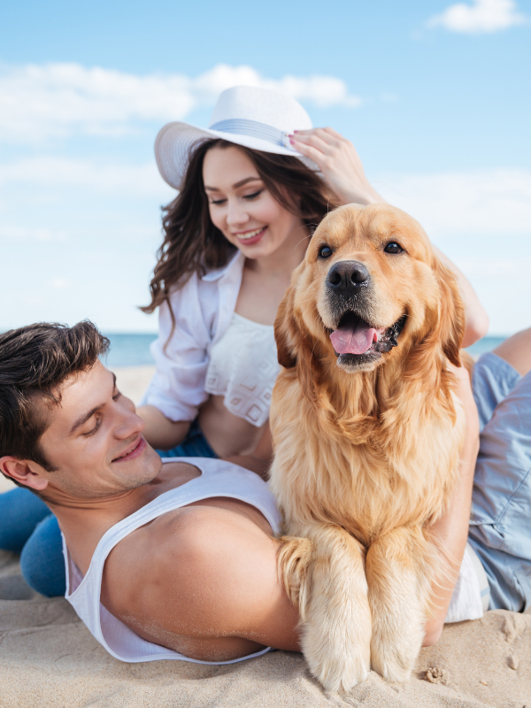 couple with a dog on the beach