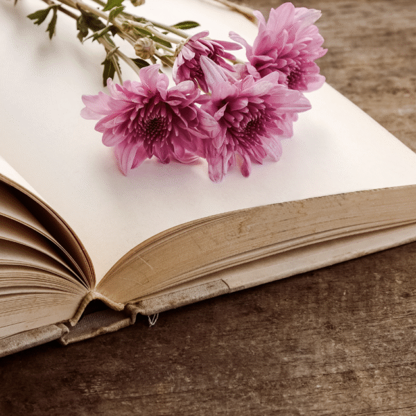 timeless love quotes from novels featured photo