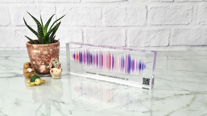 Image for Voice Recording Gift